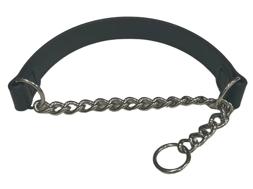 Dog Training Collar: How to Choose the Right Collar for Better Results