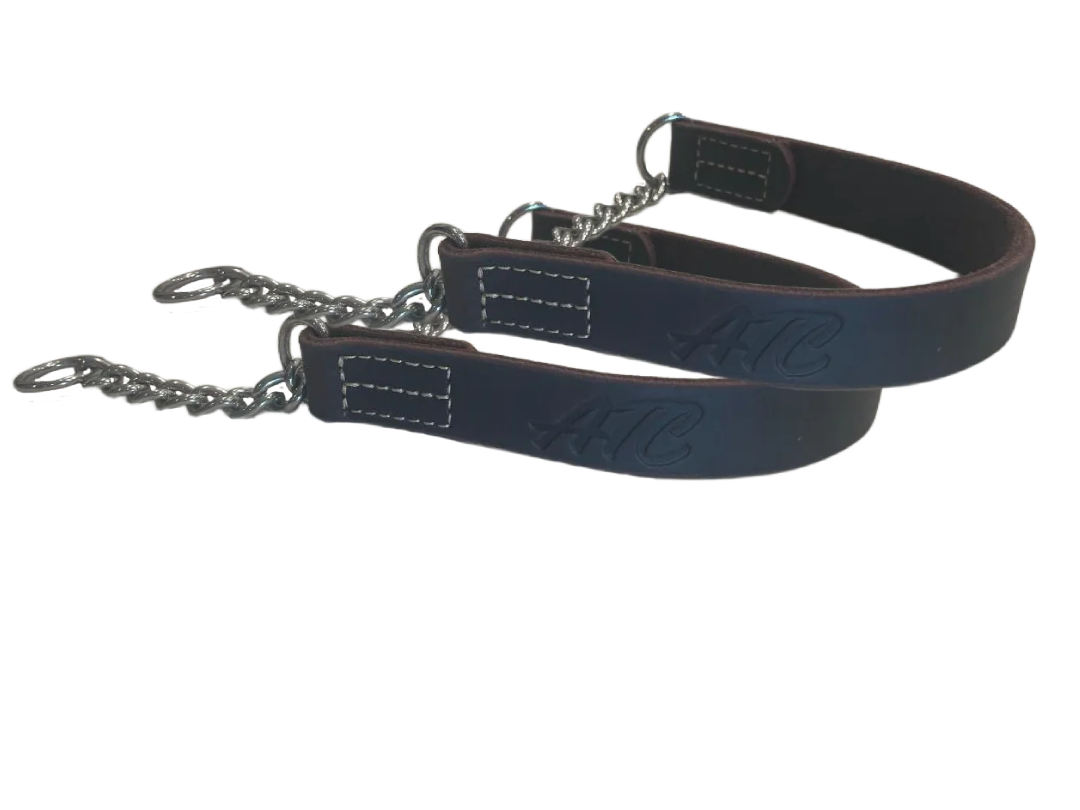 2 Leather Collar Special