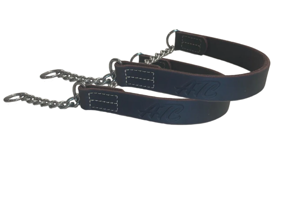 joel silvermans patented alternative training collar for all sizes of dogs including small dogs