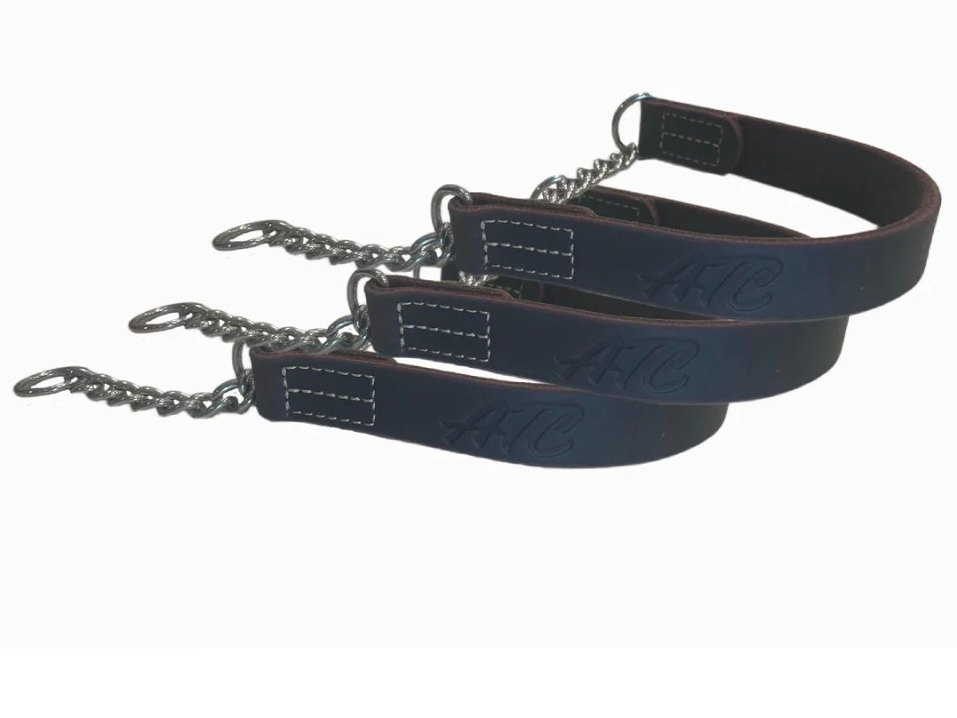 3 Leather Collar Special