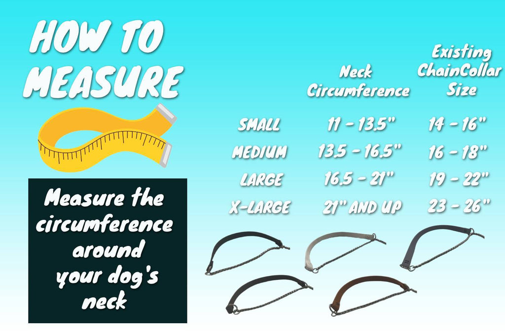 Biothane & Chain Combo Alternative Show Collar - Gentle No-Pull Collar
