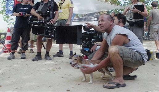 learn how to be a film and tv commercial animal trainer