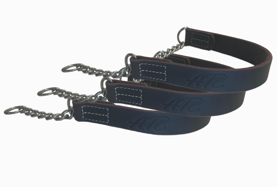 Joel silvermans patented humane training collar