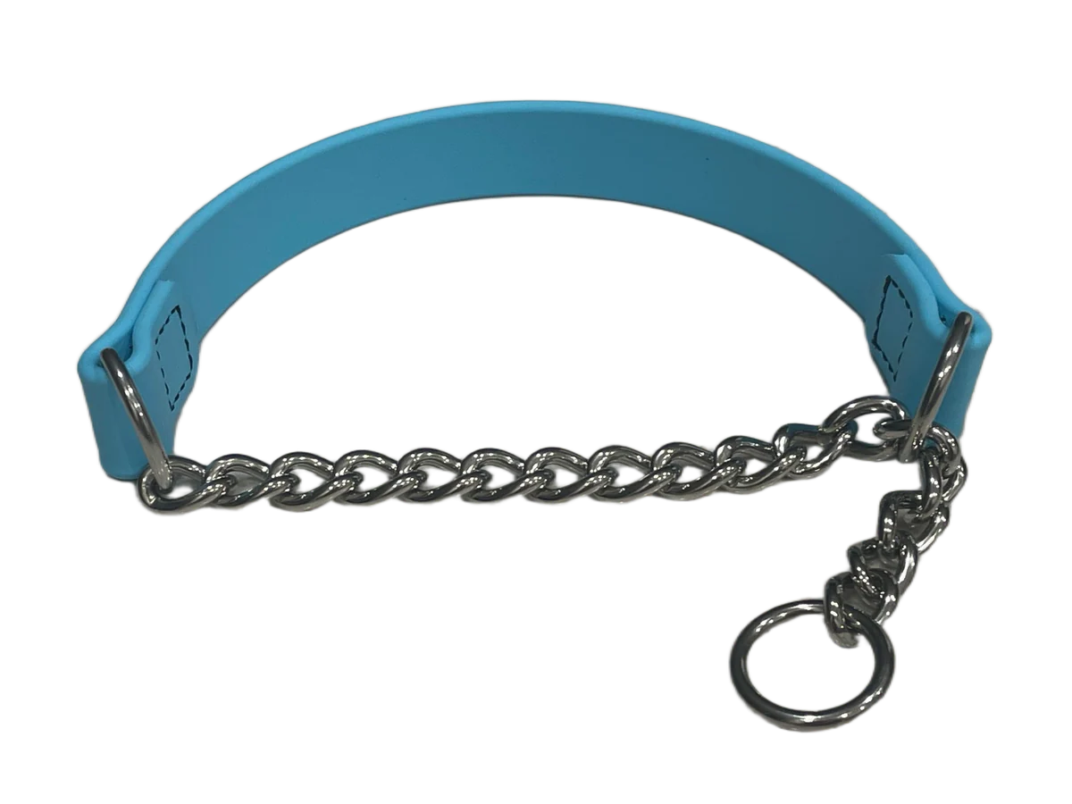 no-slip dog collar for training