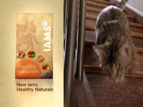 dogs trained and supplied for commercials
