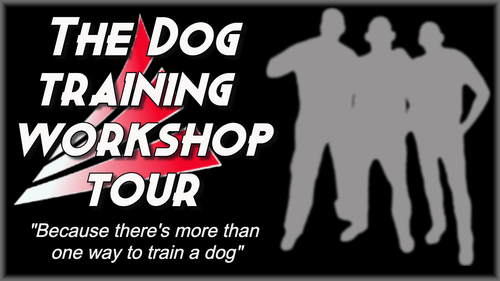 Biothane alternative training collar for large dogs