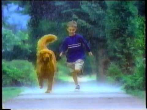 dogs trained and supplied for commercials