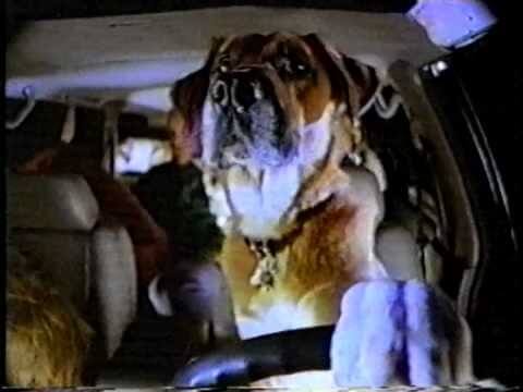 dogs trained and supplied for commercials
