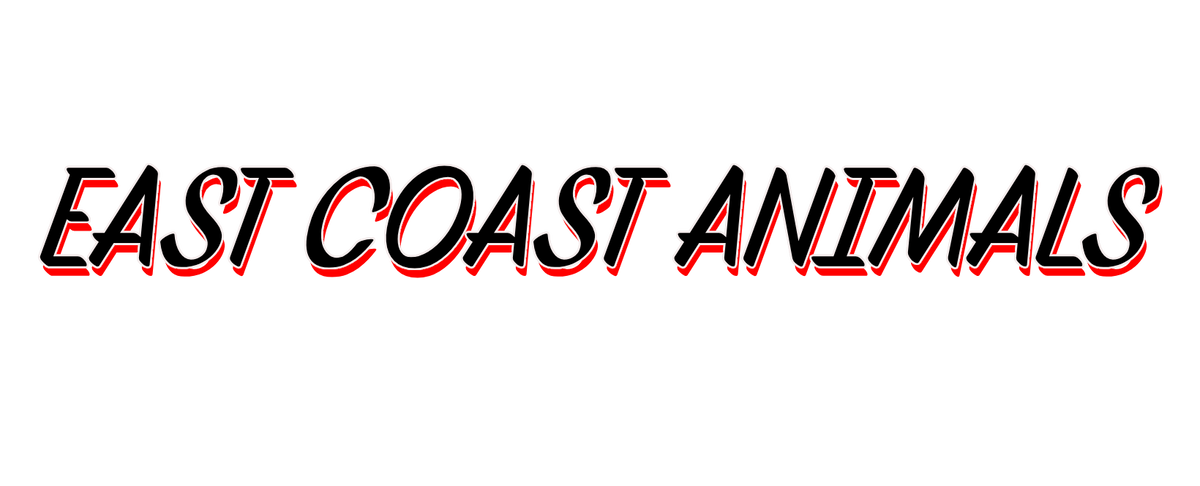 dogs from the east coast supplied for film tv and commercials