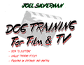 March 12-14, 2027 - Dog Training For Film and TV - Maryland/Virginia