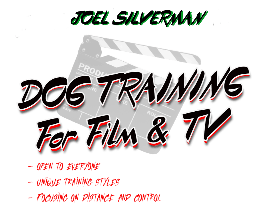 Dog Training For Film and TV - Connecticut - March 16-20 (50% up front)