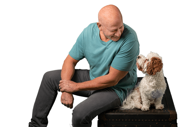 What is the most effective dog training collar?