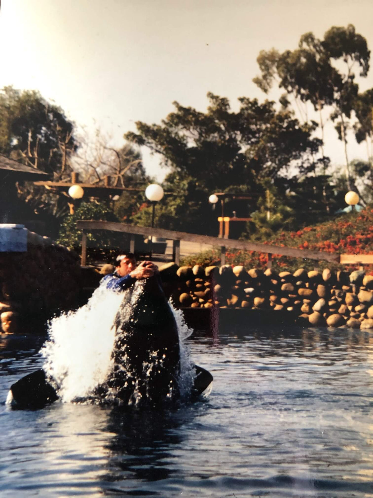 Dog Training For Film and TV Workshop in Fort Myers, Florida