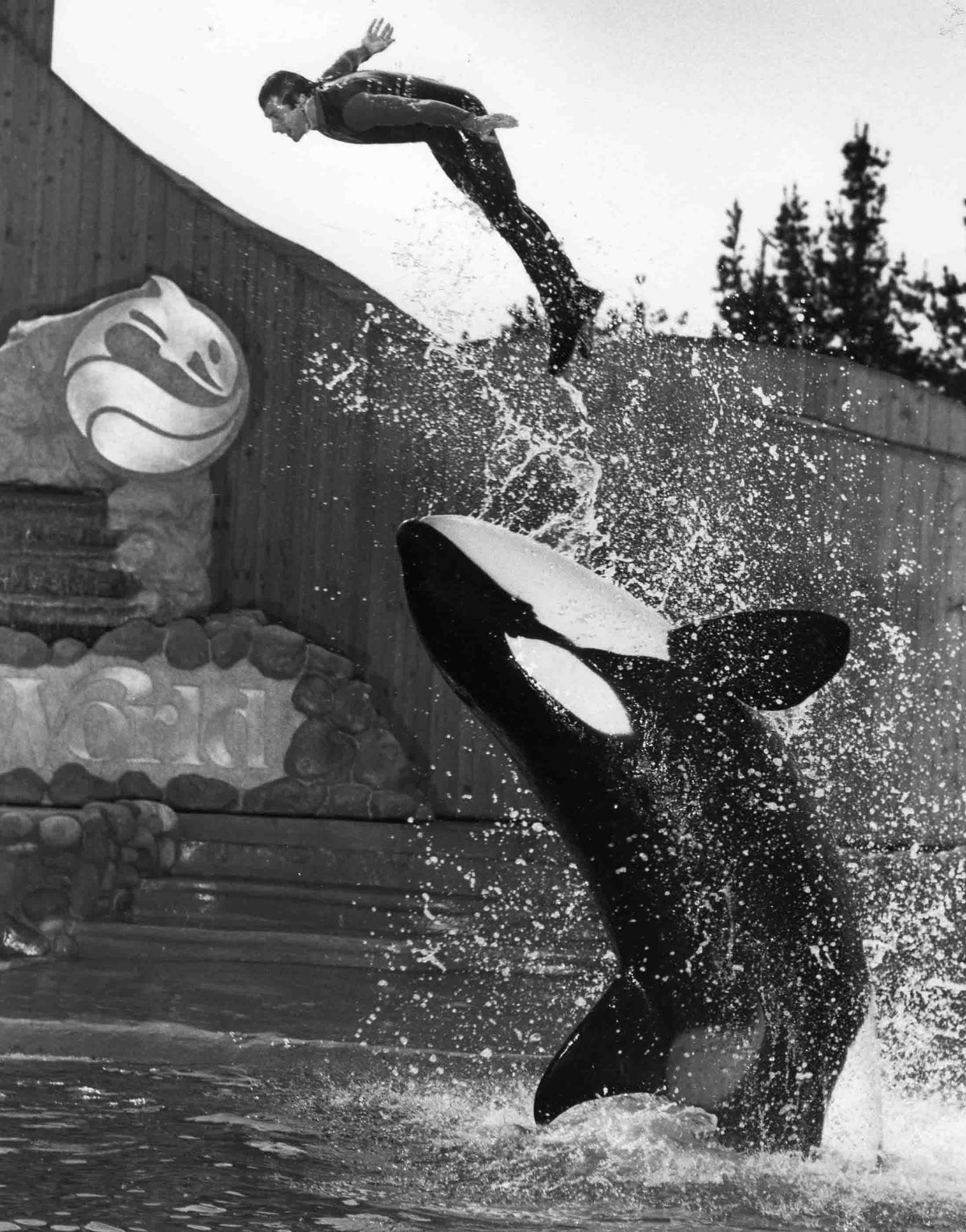 learn how to be a movie animal trainer