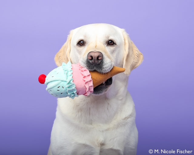 on-set dog handler, motion picture animal trainer, dogs for television productions, animal talent