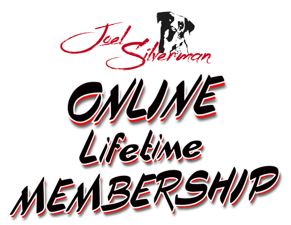 joel silvermans membership area