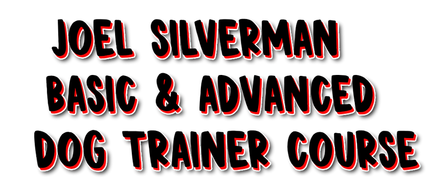 Joel Silverman's Basic/Advanced Behavior Dog Training Certification Course