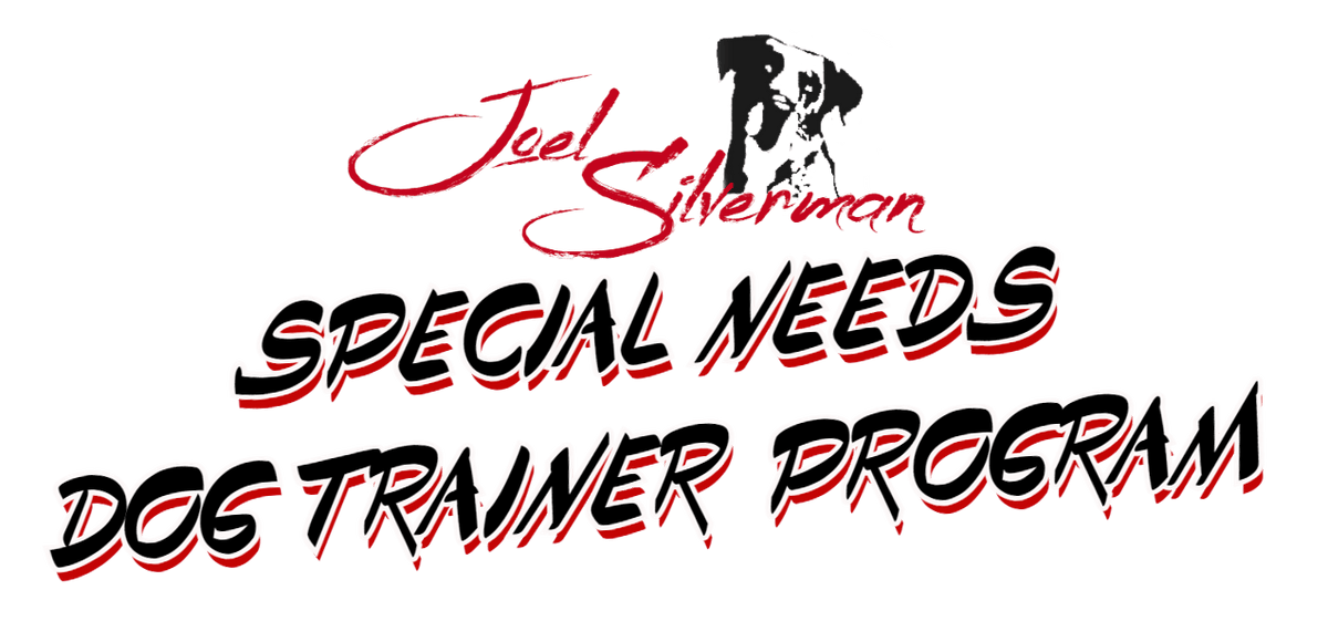 learn how to be a movie animal trainer