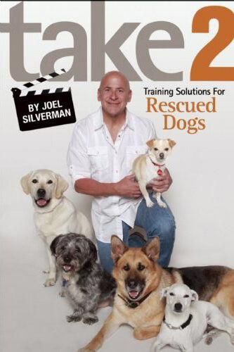 learn how to be a film and tv animal trainer