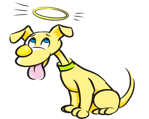 joel silvermans what color is your dog?