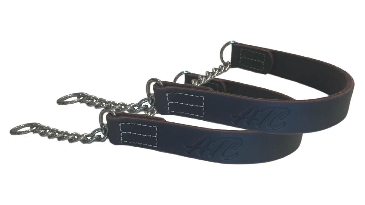 joel silvermans patented alternative training collar for all sizes of dogs including large dogs