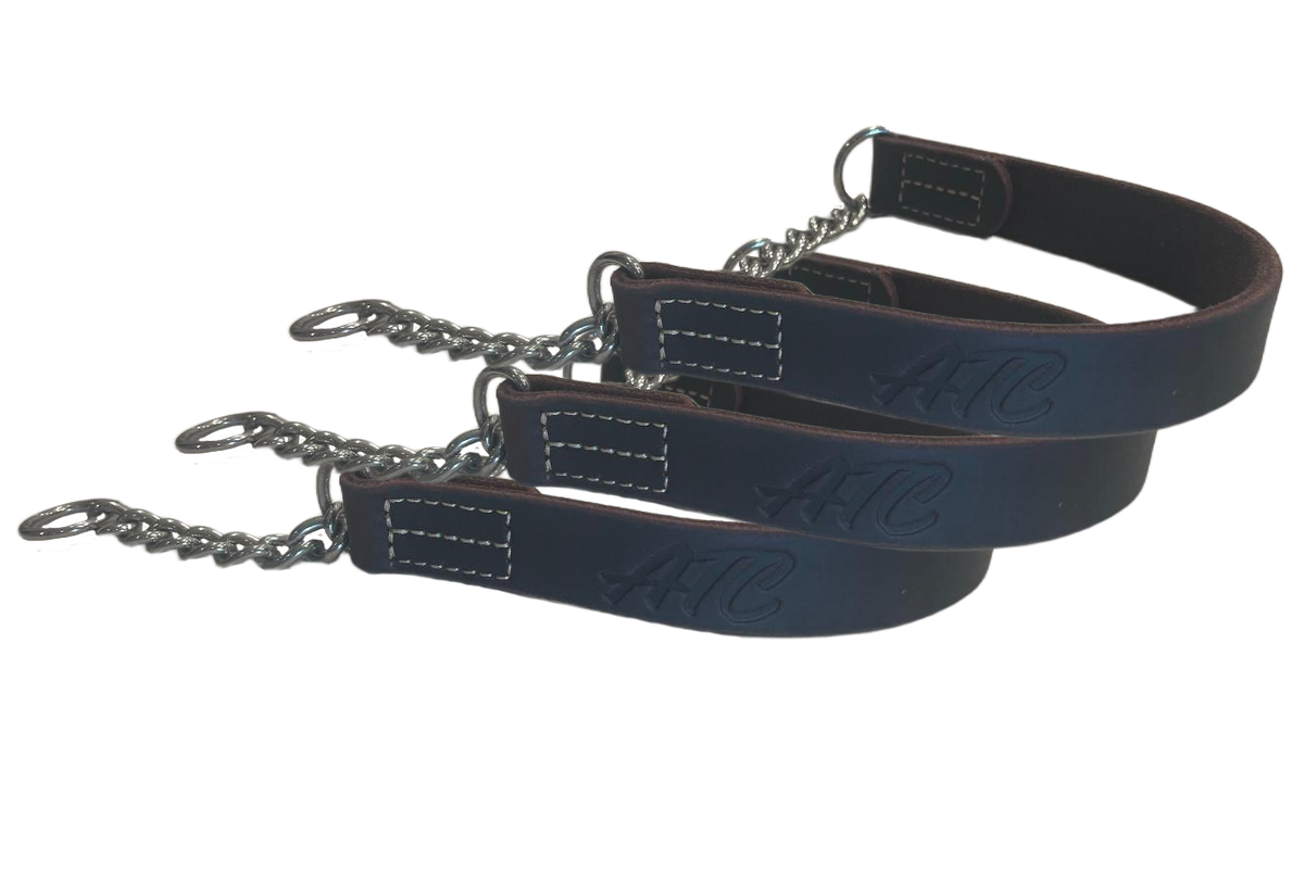 Joel Silverman's Patented Alternative Training Collar - Gentle No-Pull Control.