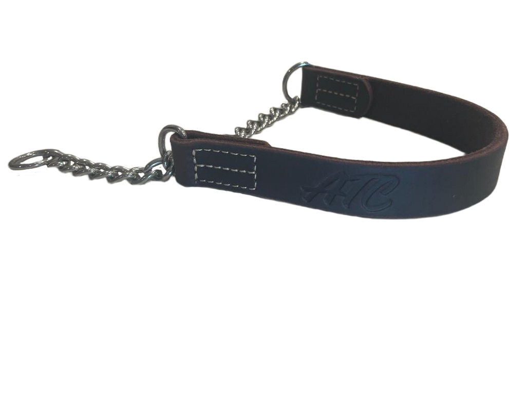 joel silvermans alternative training collar