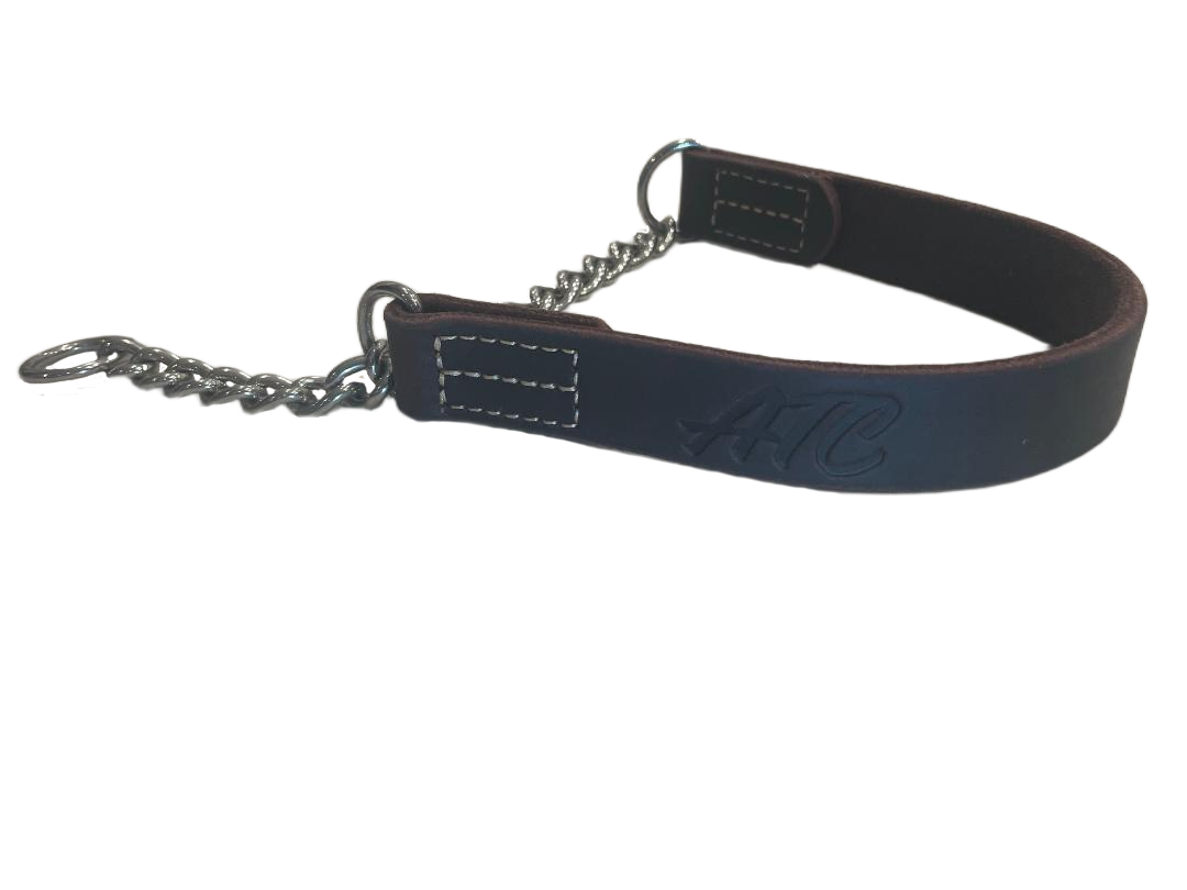 joel silvermans alternative training collar