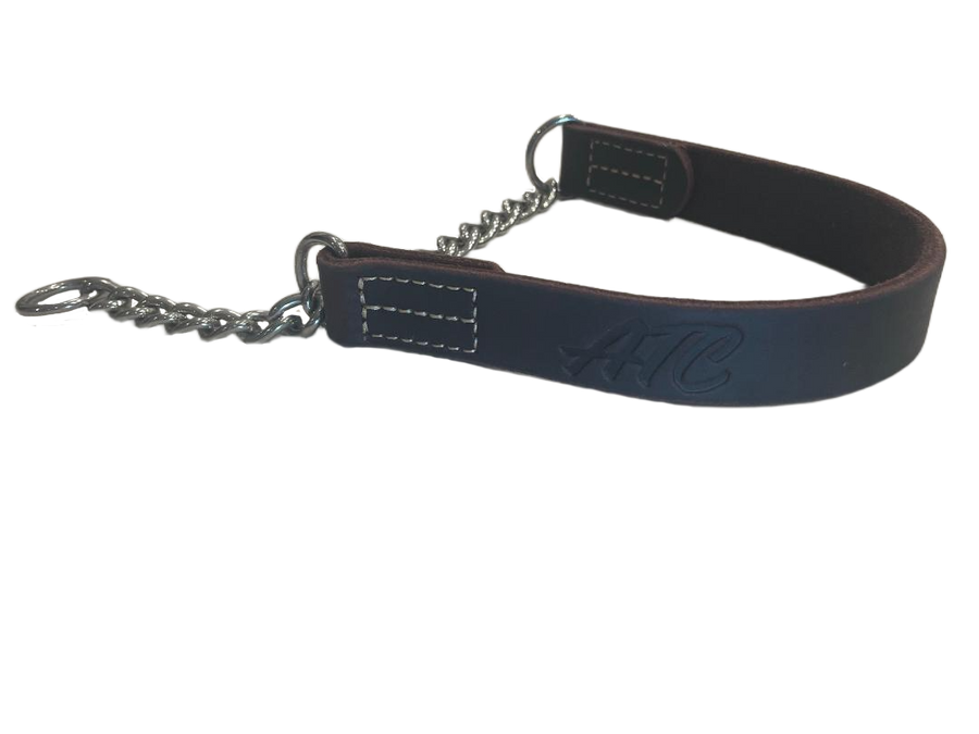 joel silvermans alternative training collar