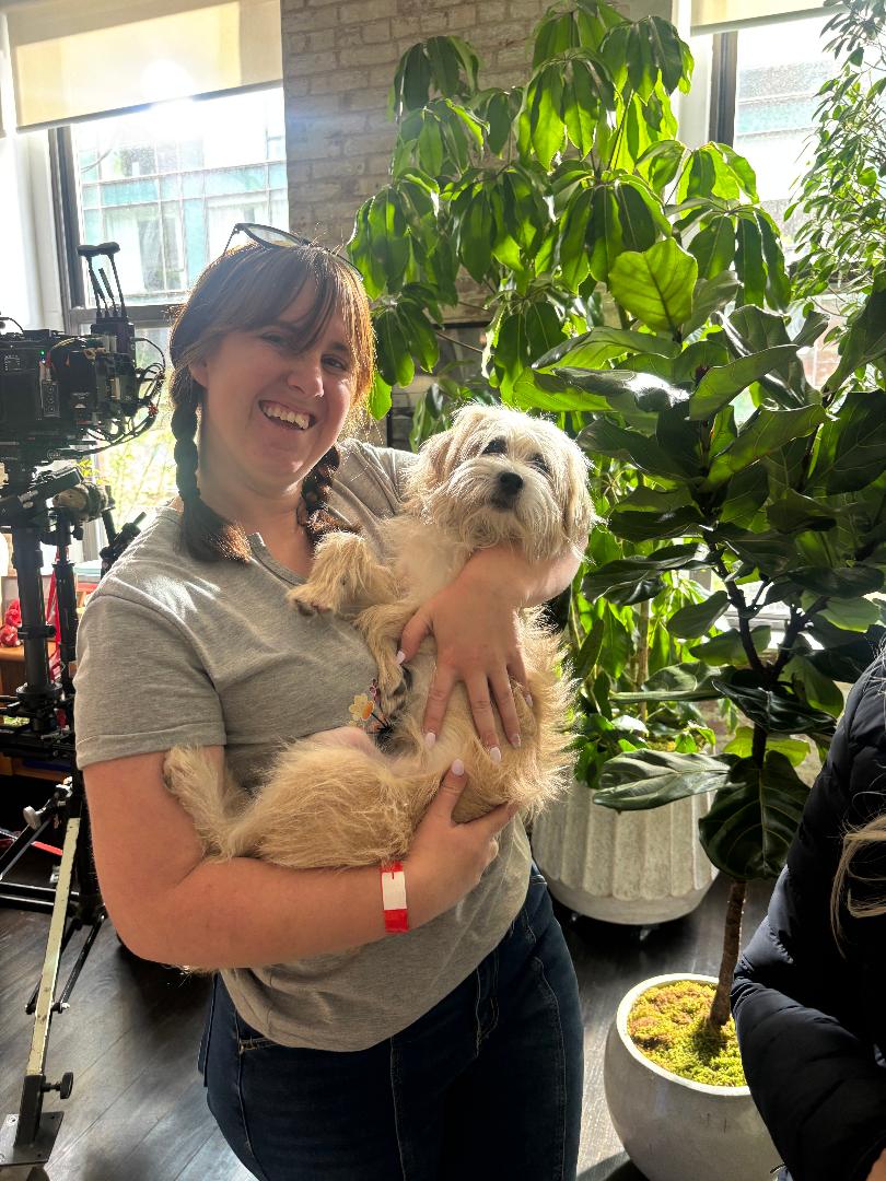 smart dogs trained and supplied for film and tv 