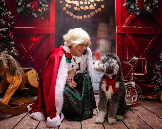 dogs for television productions, commercial animal talent for commercials